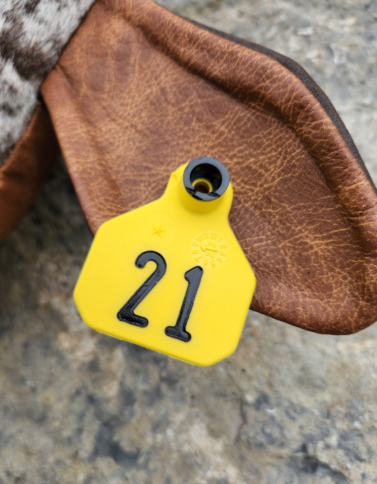 Add a Cattle Tag!