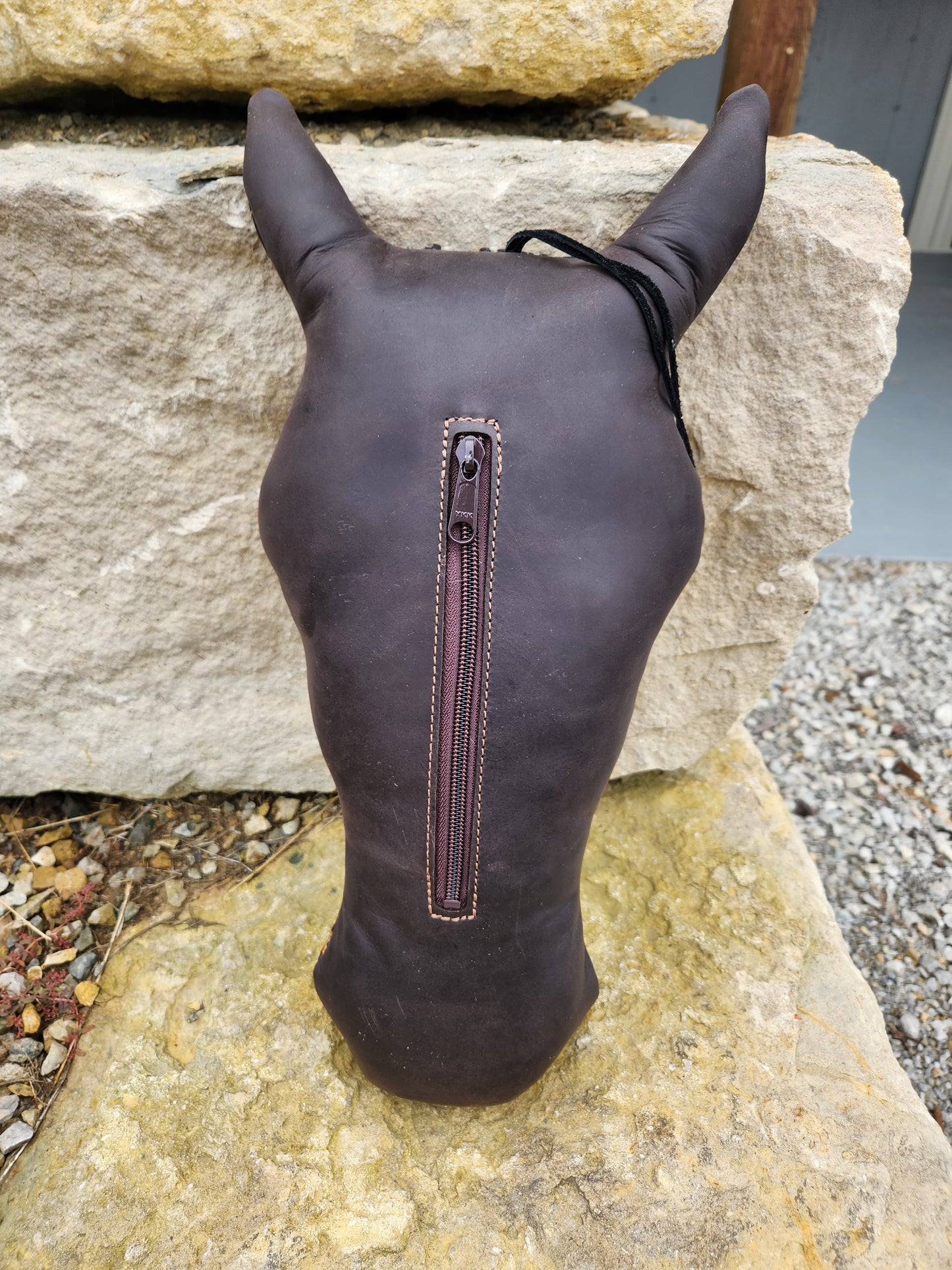 Pillow Ponies - Aztec with Blaze