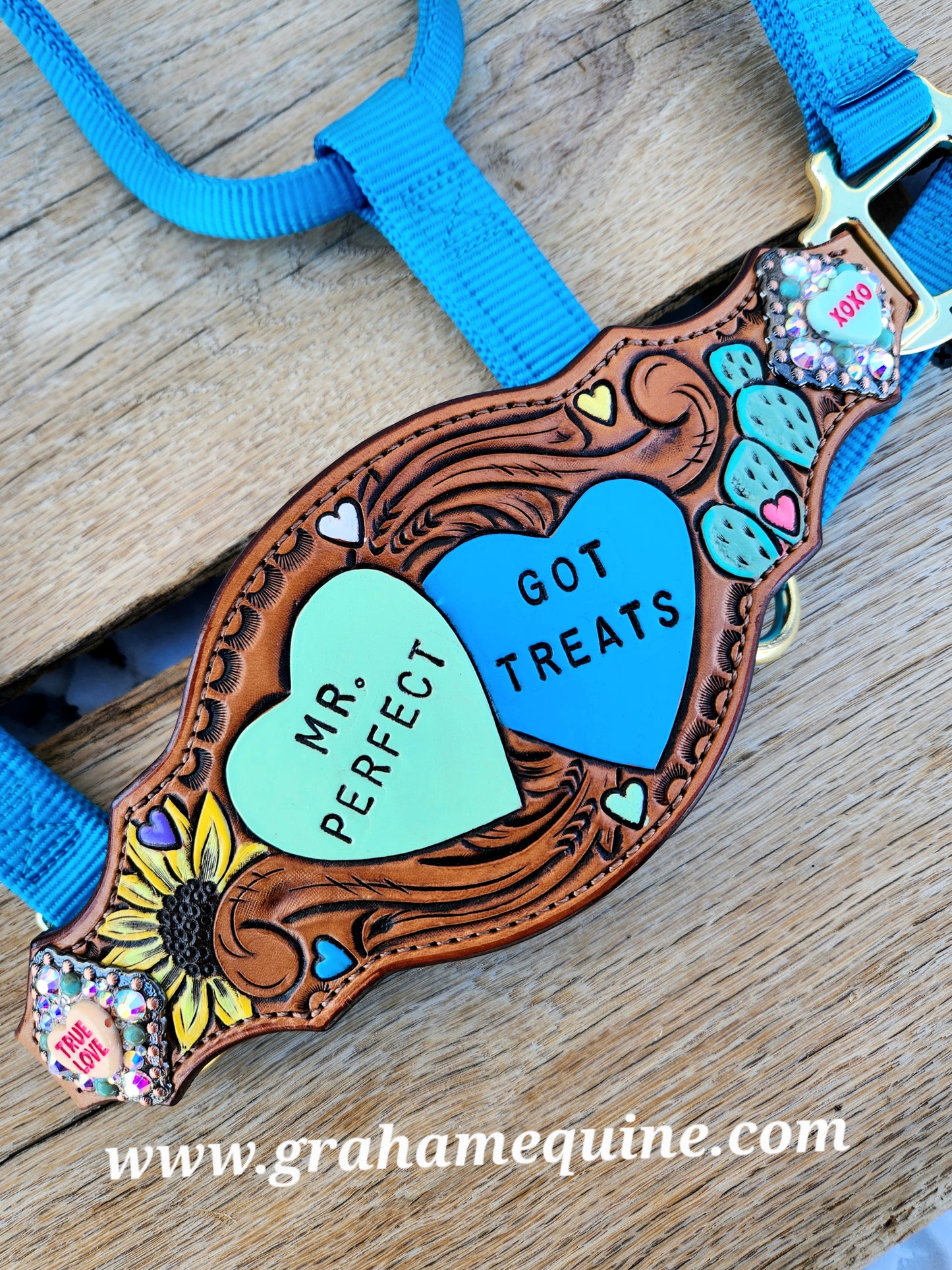 Mr. Perfect / Got Treats Halter