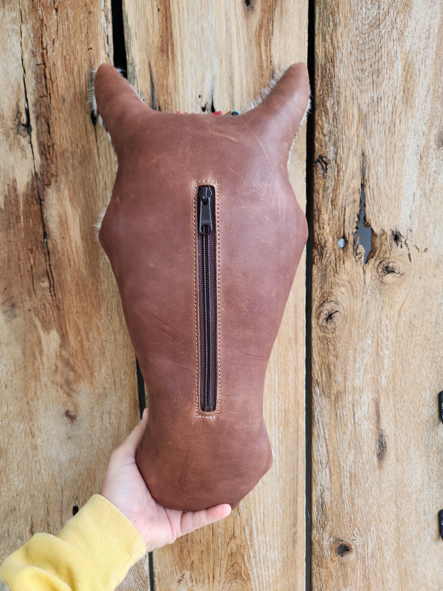 War Pony Pillow, Red Forelock Speckled