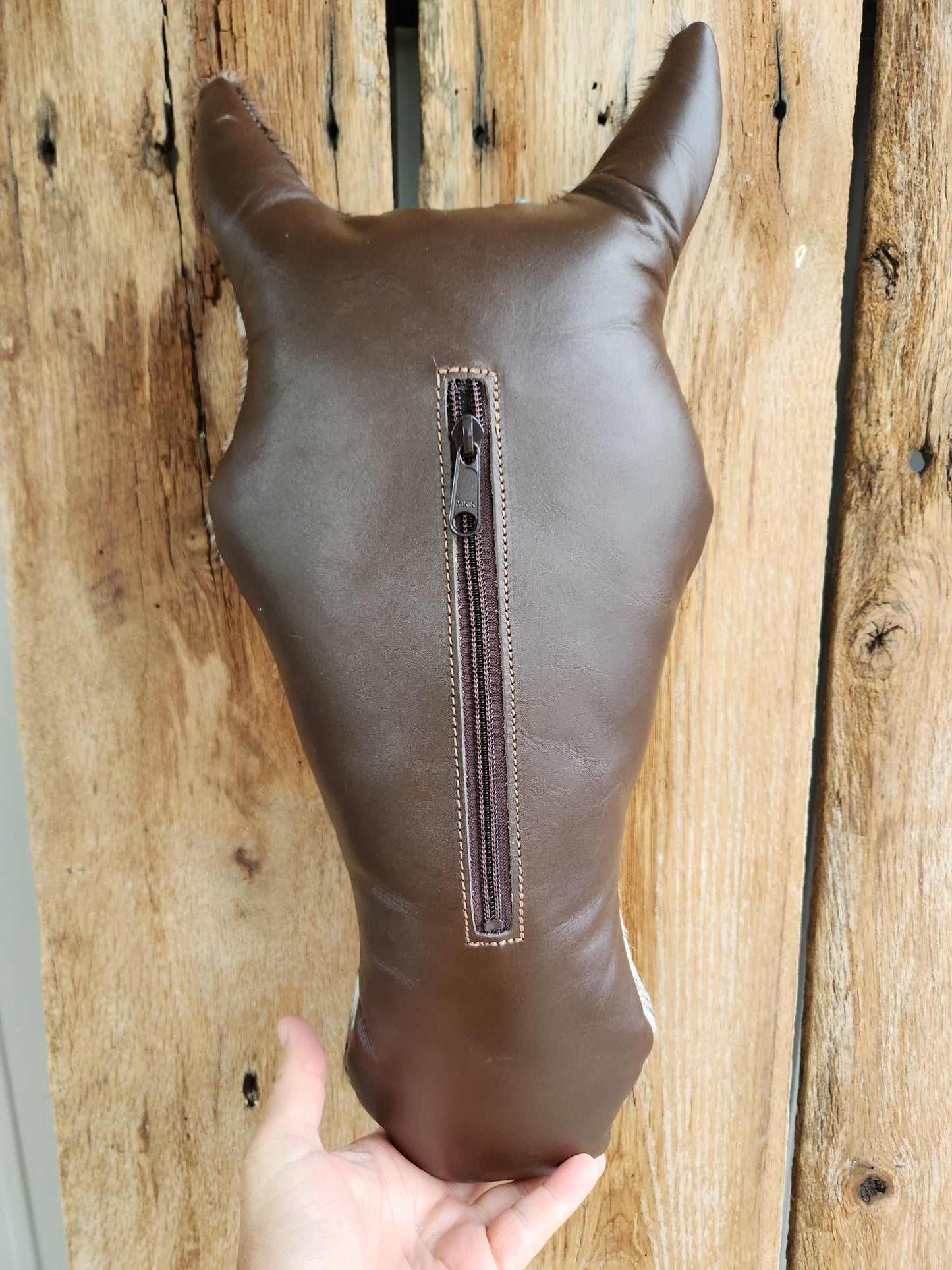 War Pony Pillow, Black Forelock, Black Eye