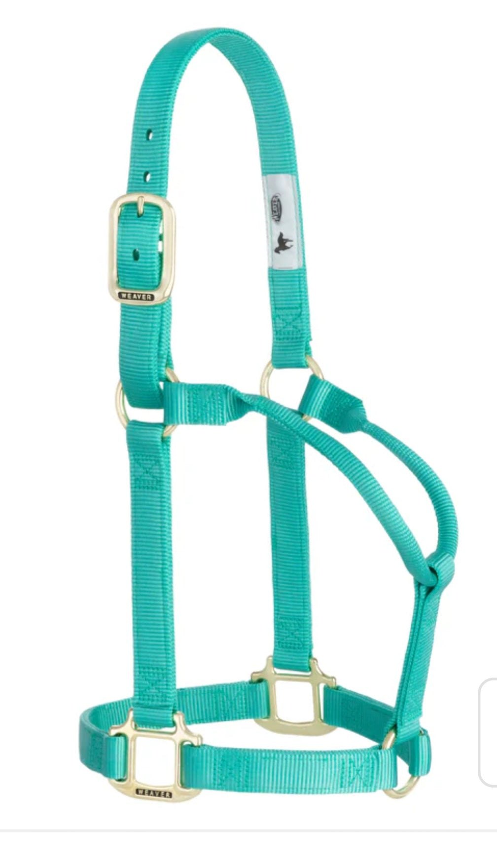 Mr. Perfect / Got Carrots Halter