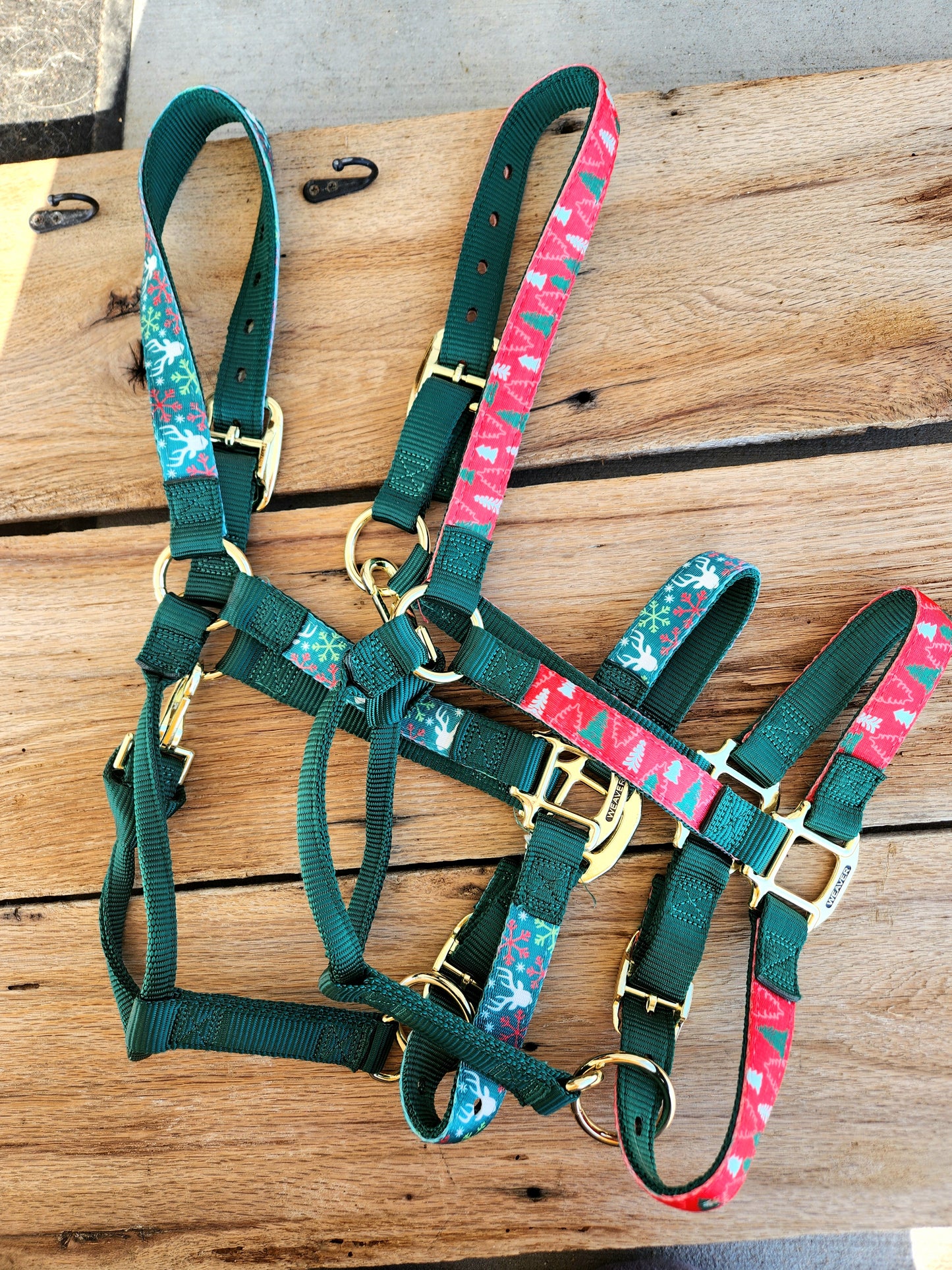 Christmas Halters 🎄