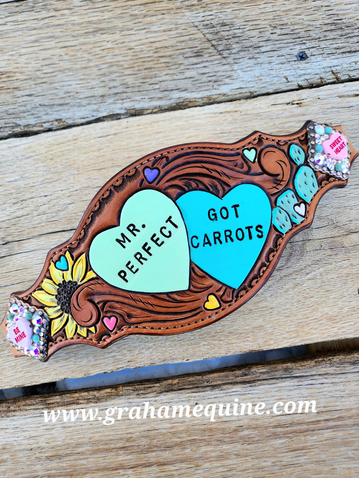 Mr. Perfect / Got Carrots Halter