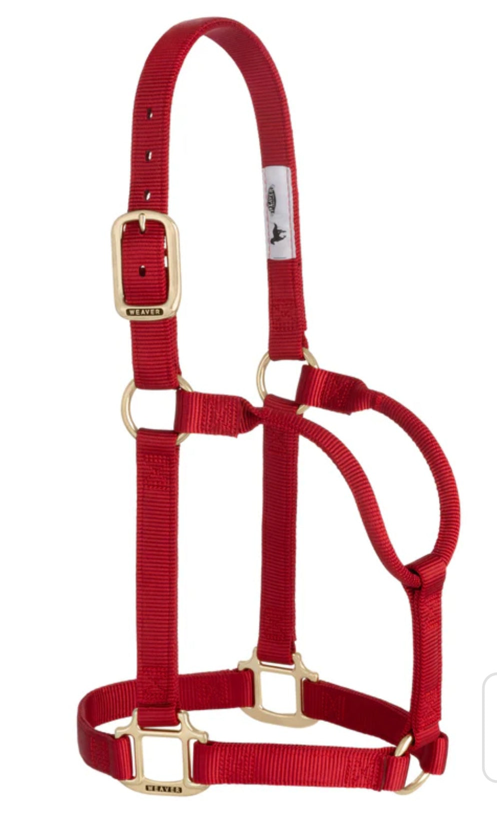 Pasture Pest / Feed Me Halter